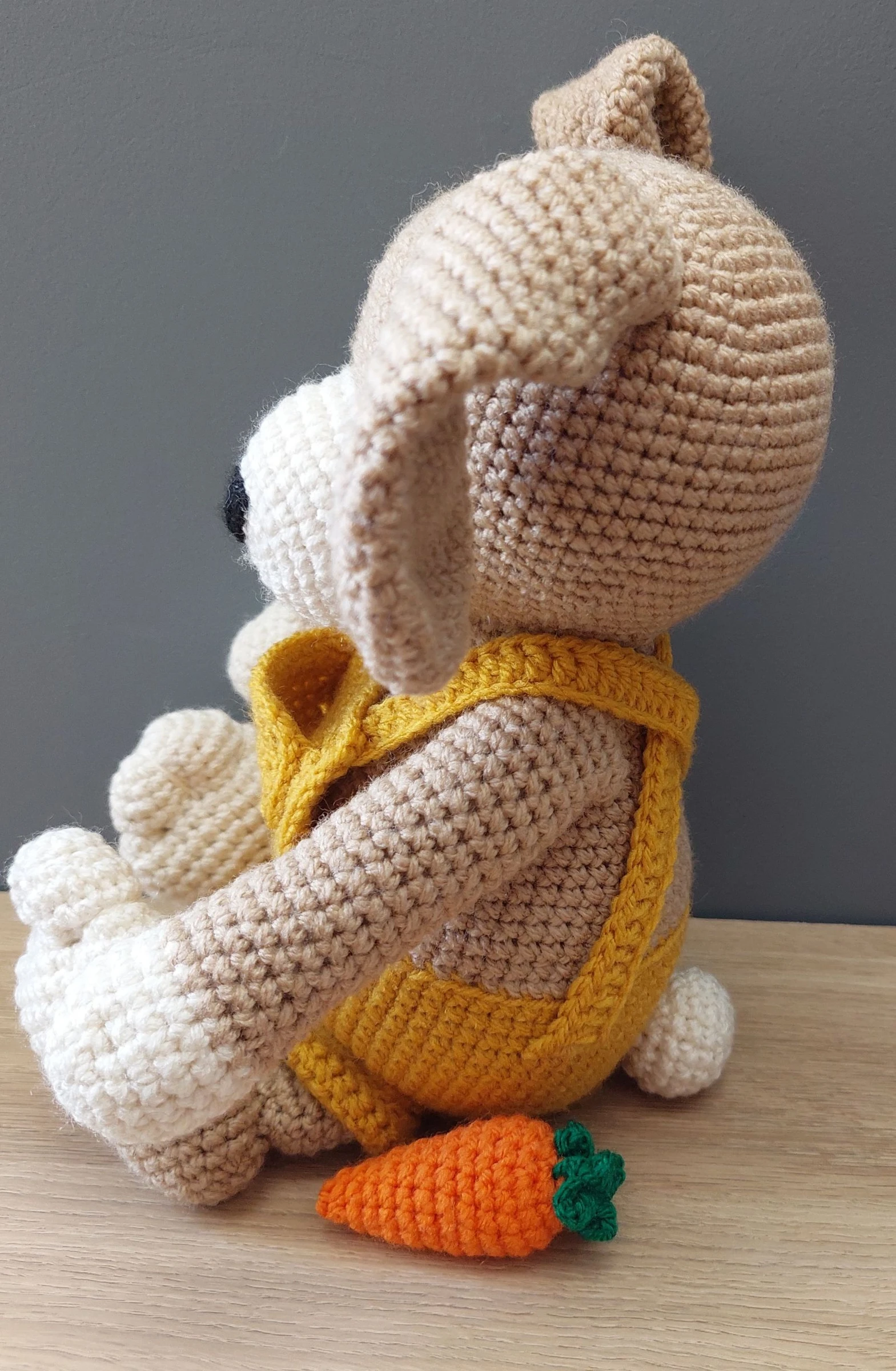 Lapin – photo 2